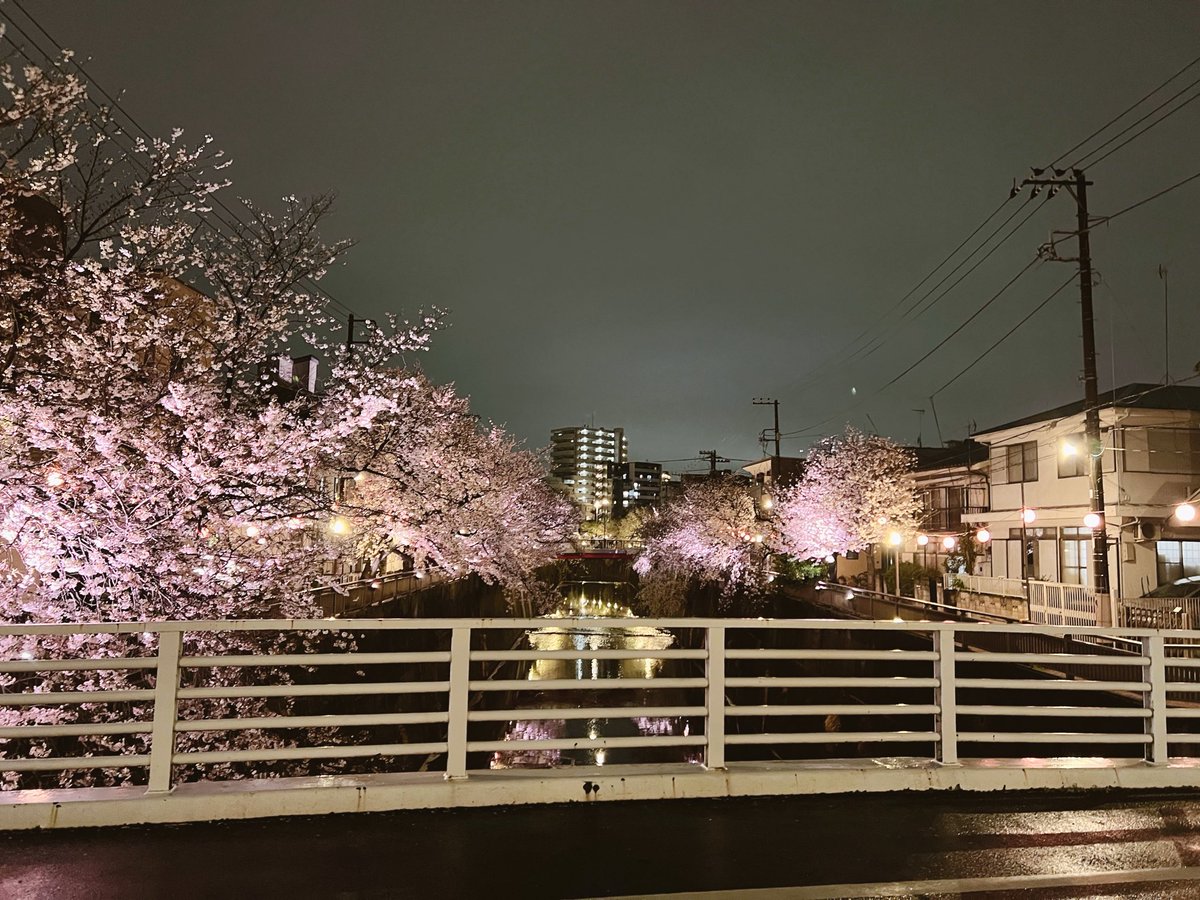 Zerucha7's tweet photo. 板橋の桜🌸 https://t.co/snAUz3laIh