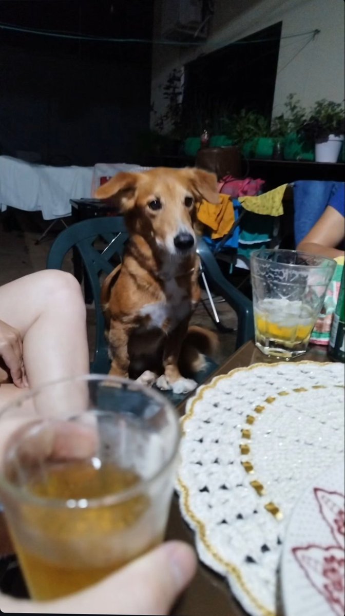 Cirilo na semana santa / Cirilo um dia depois