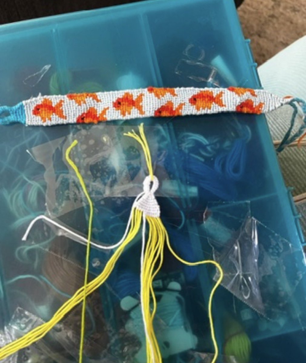 meowra ☆ tweet media