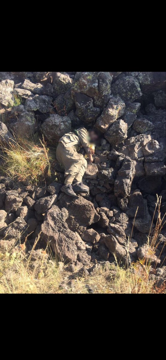 Esat1453 tweet media