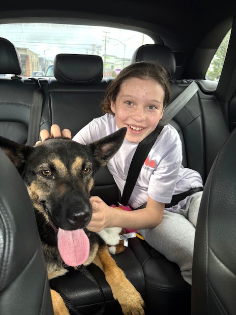 PHS/SPCA tweet media