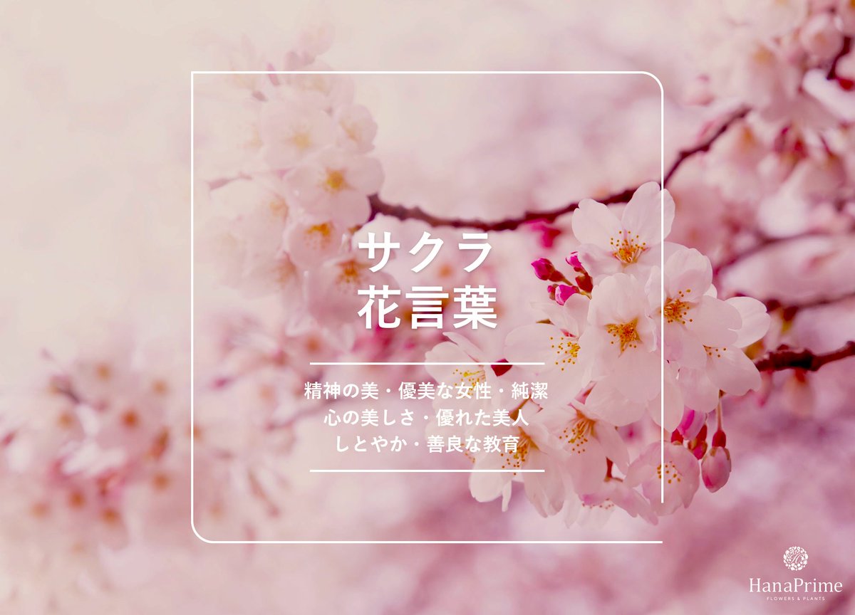 とっこさん tweet media