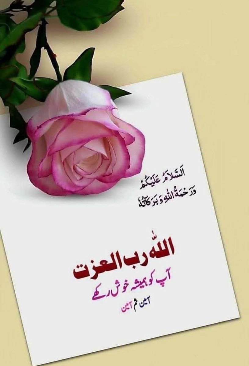 کومل_ناز tweet media