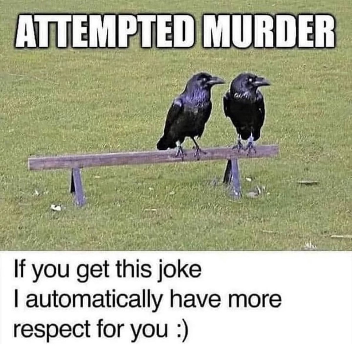 SpillTheMemes's tweet photo. 😂 https://t.co/8M8hhXU7Ab