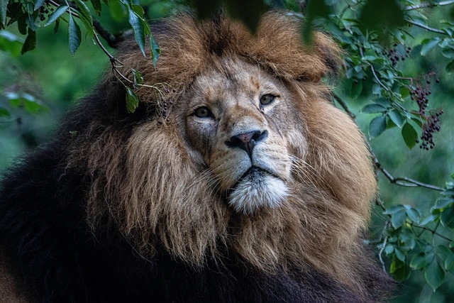 Jen Gutierrez tweet media