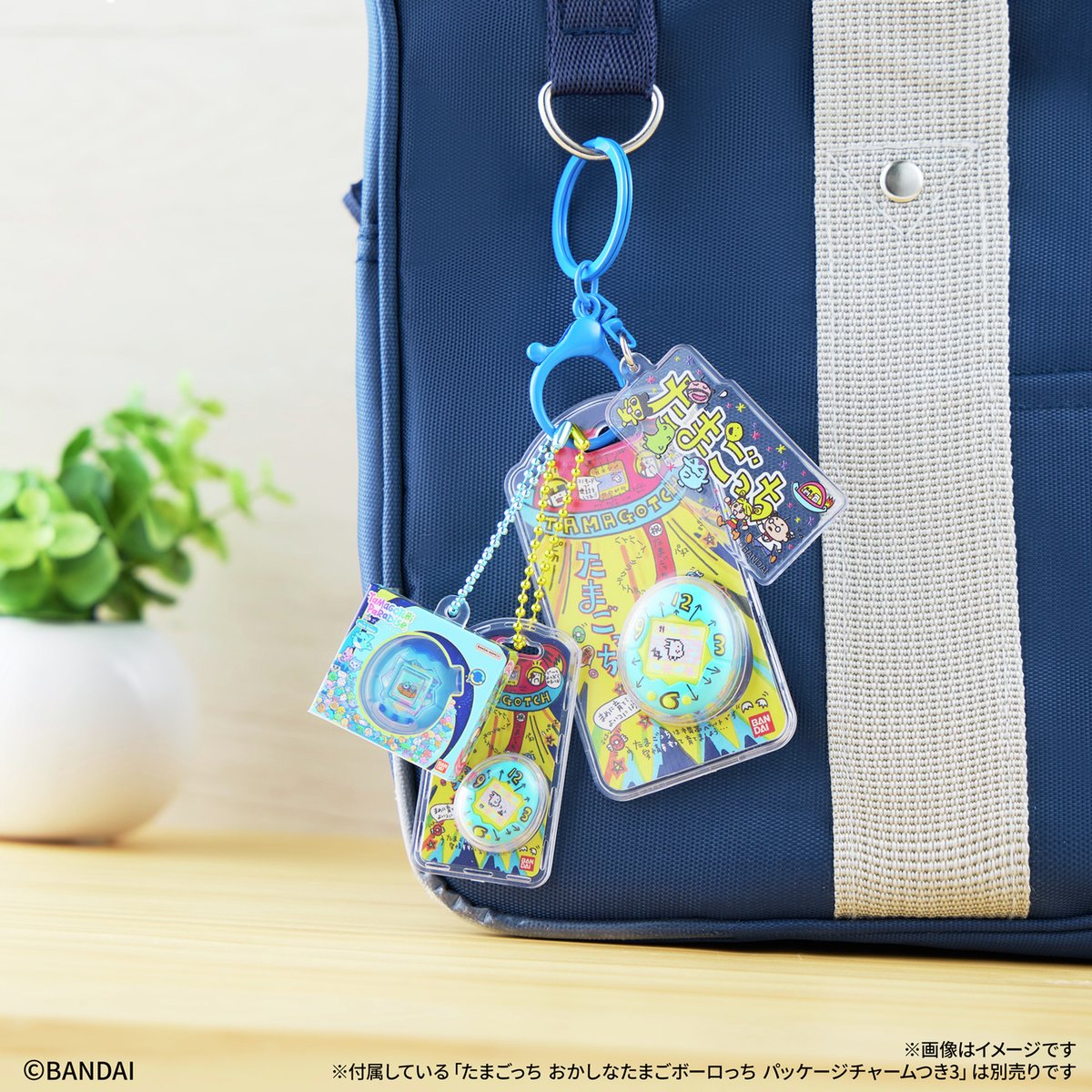 バンダイ キャンディ【公式】 tweet media