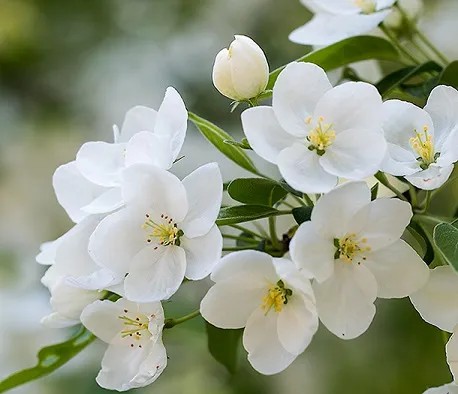 주변인,덤 tweet media