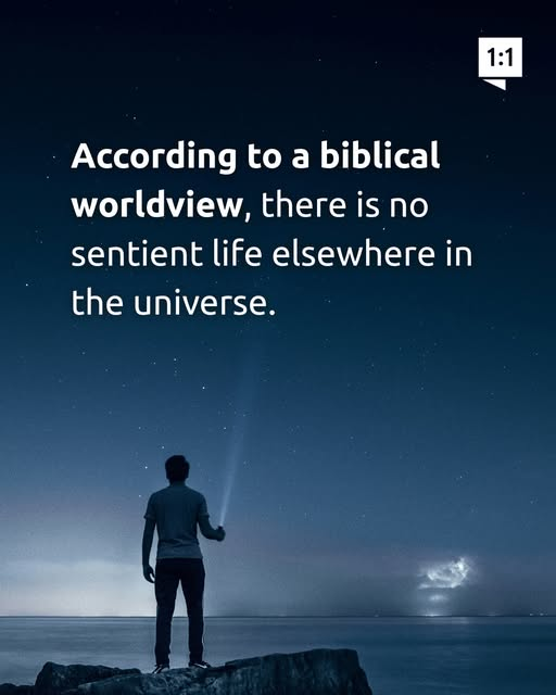 Bobby Alley tweet media