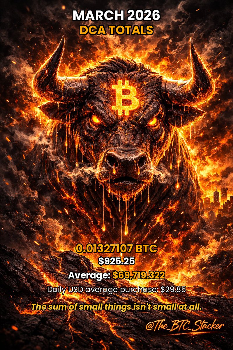 Daily Bitcoin Stacker tweet media