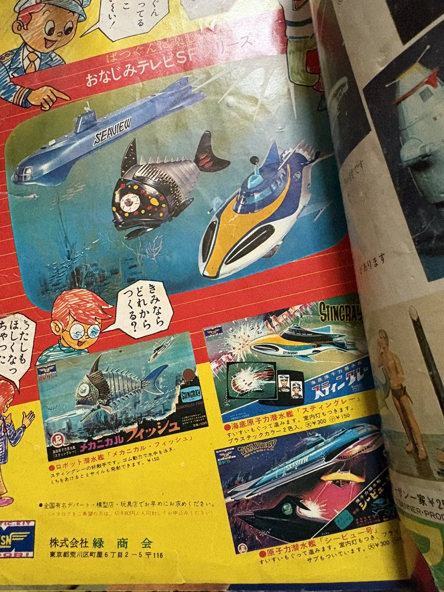 キャプテンゴメス tweet media