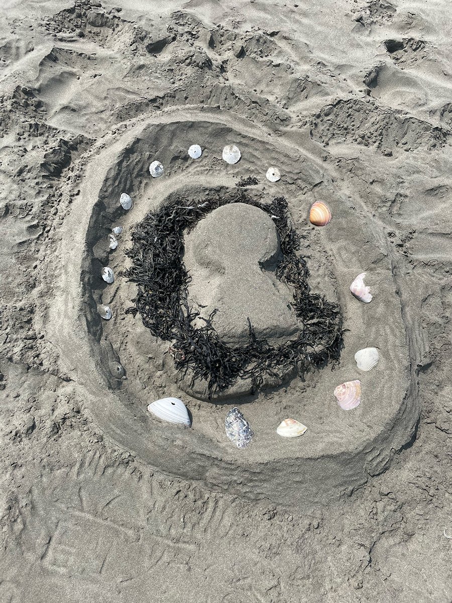 文一総合出版【公式】4月の新刊は5冊 tweet media