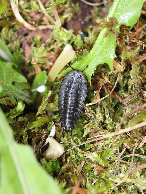 川邊 透 tweet media