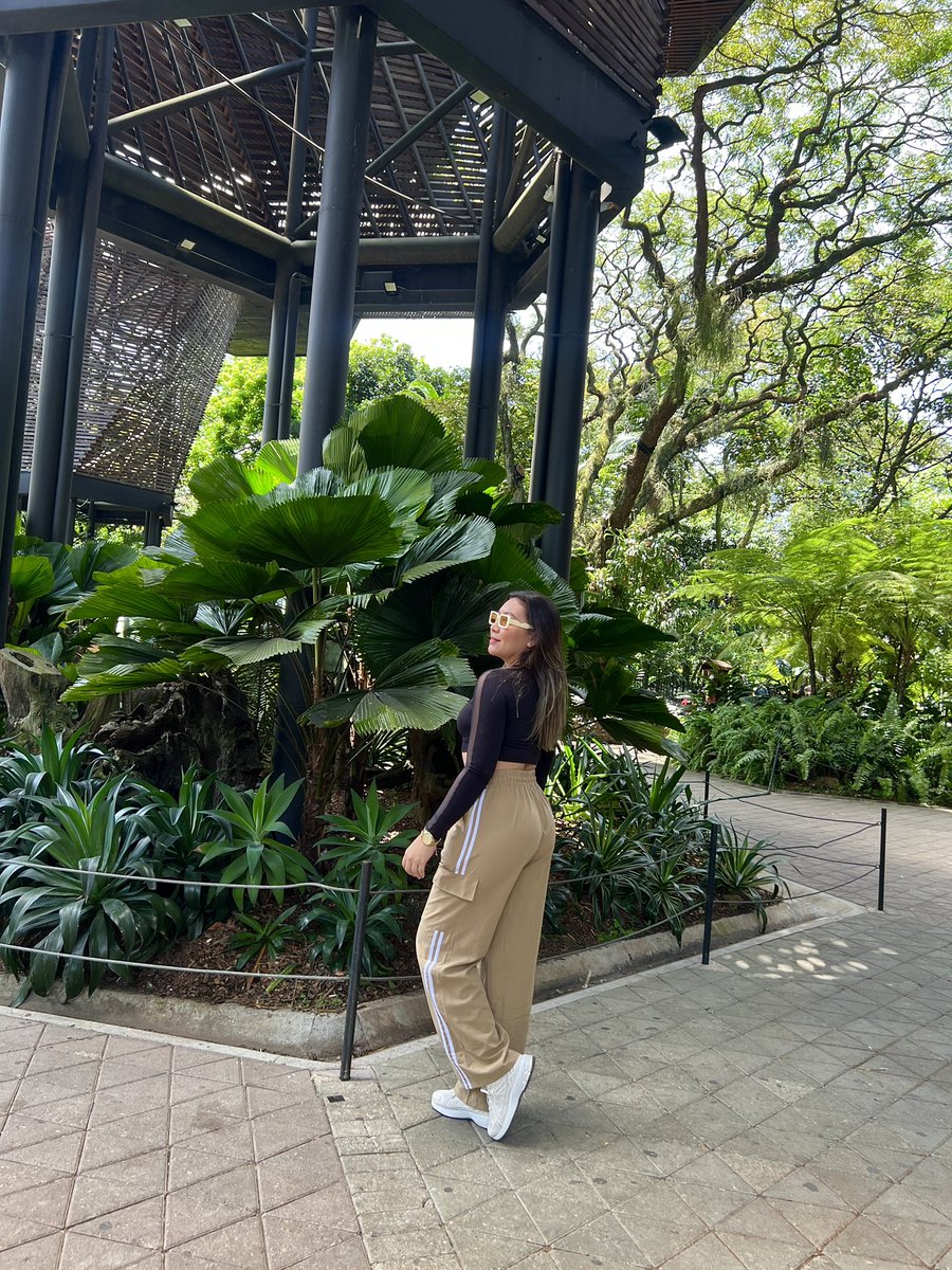 Hoy fue un bonito día 💚🌳🌿🌵
