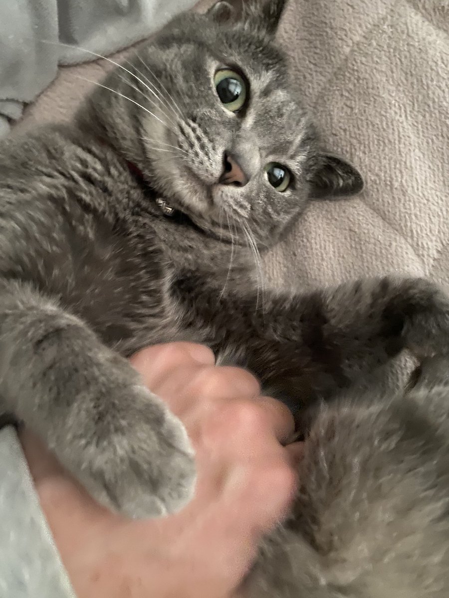 原田健史 tweet media