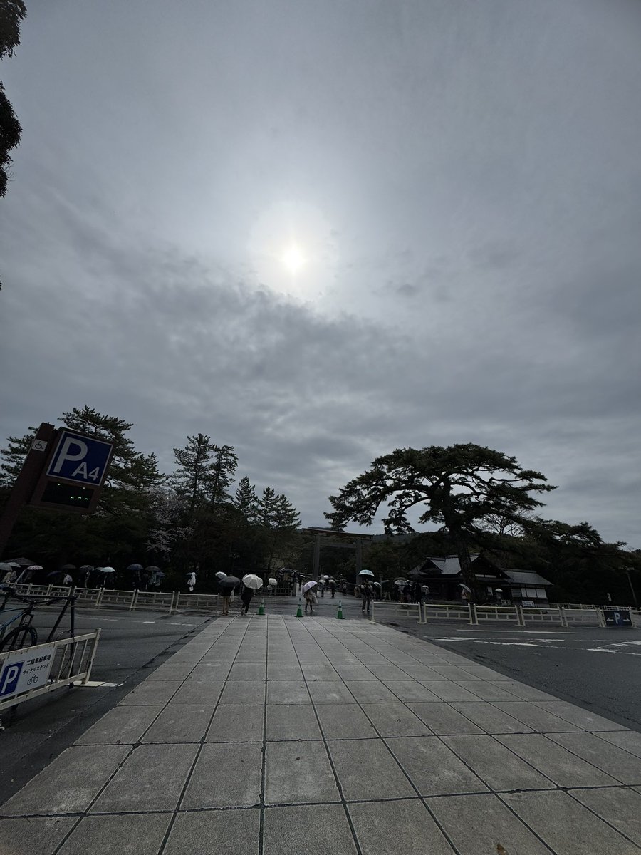 ⭐︎金母kinka358⭐︎ tweet media