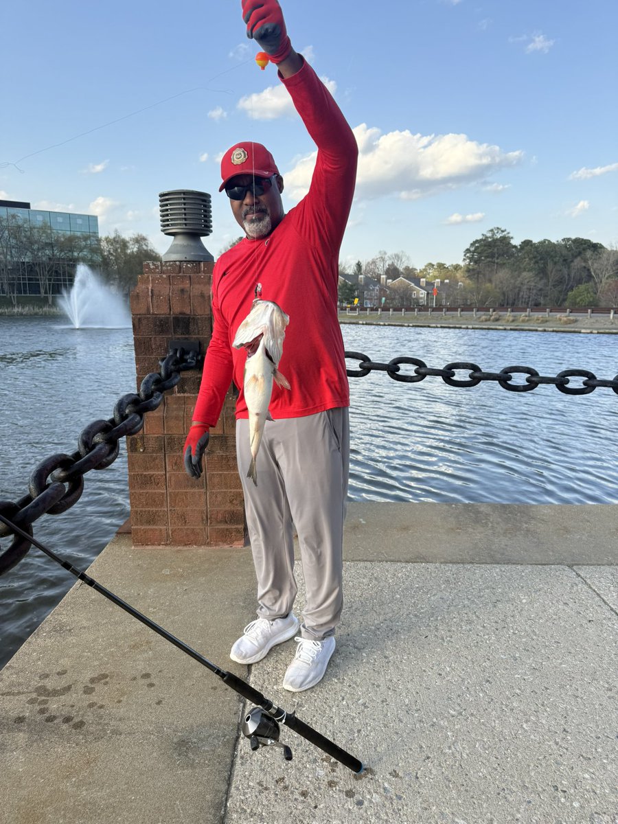 Lovelace tweet media