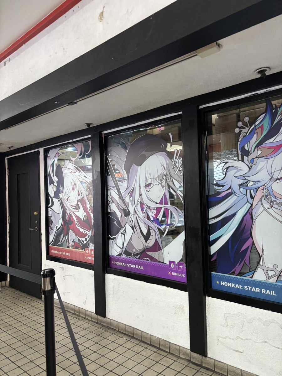 Daily Robin! 🪽 tweet media