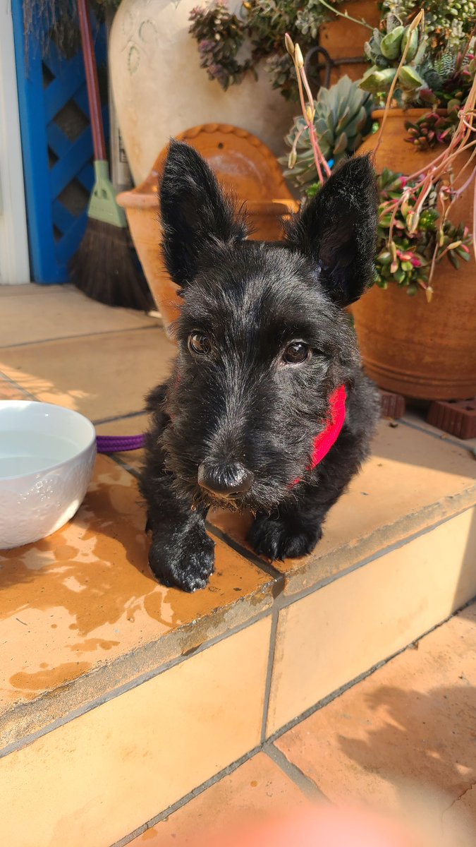 マナミ tweet media