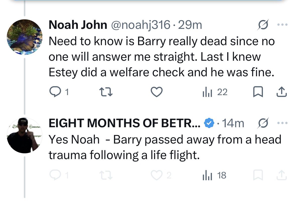 Kristy momo alpaca tweet media