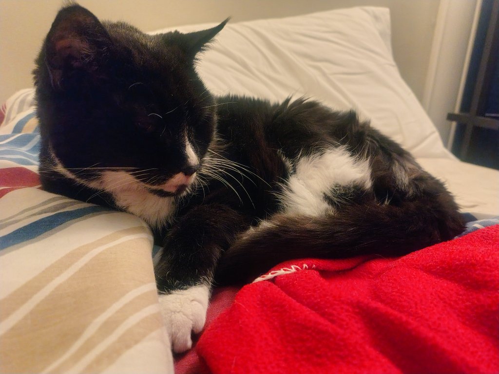 eigenrobot tweet media