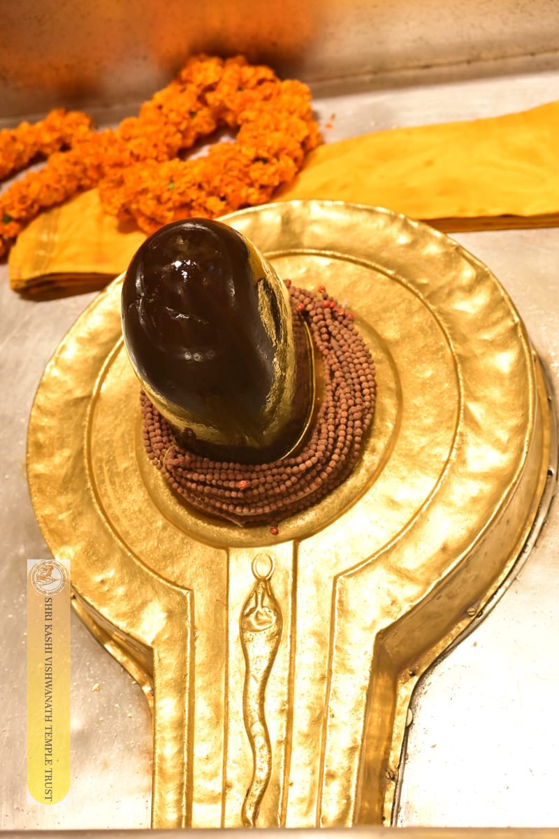 Shri Kashi Vishwanath Temple Trust tweet media