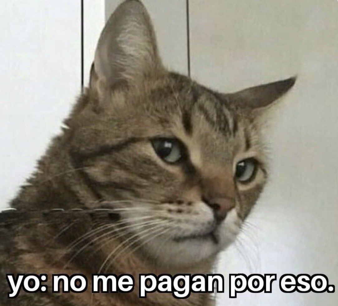 El Pandita Rojo tweet media