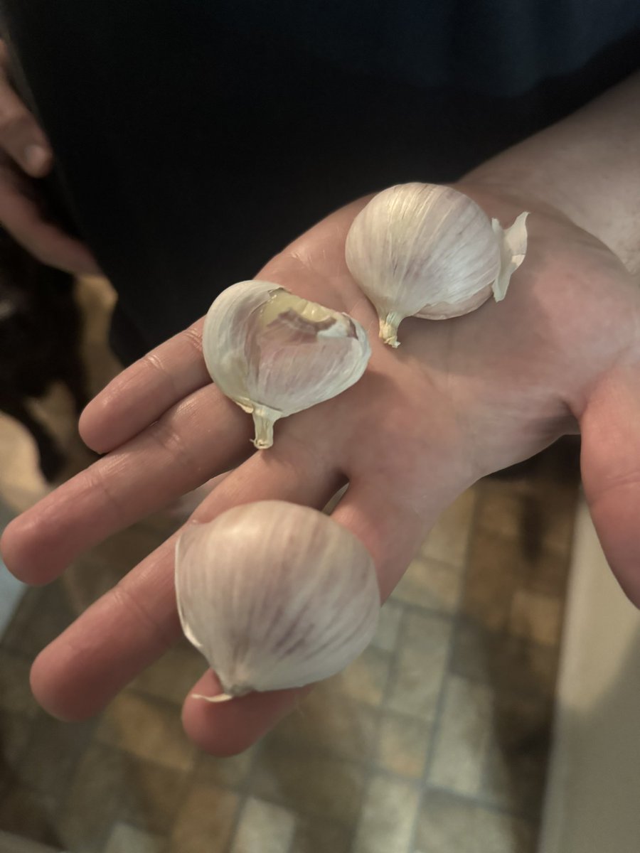 ang • ⊥ \\ tweet media