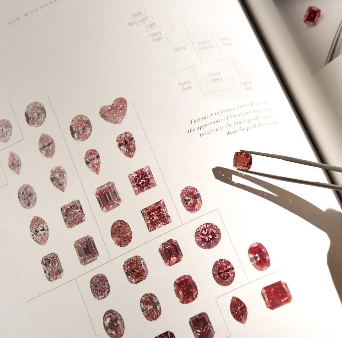 luxurylifestyle's tweet image. "The Queen": A 3.16-carat Argyle Pink Diamond Sets a New Benchmark in Rarity luxurylifestyle.com/headlines/the-… #diamond #pinkdiamond #carat #luxurydiamonds