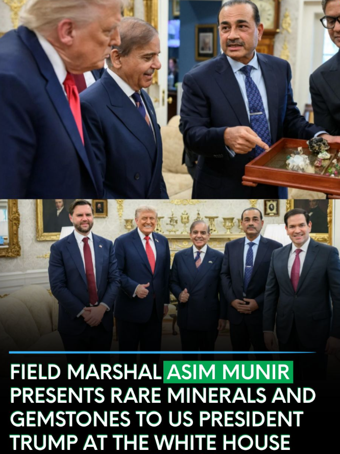 Erik Sperling tweet media