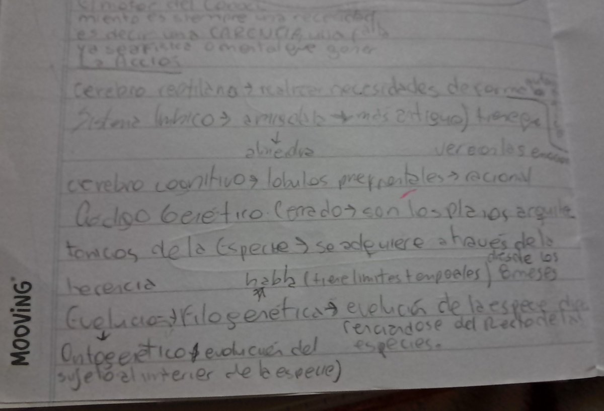 norc d! cami tweet media