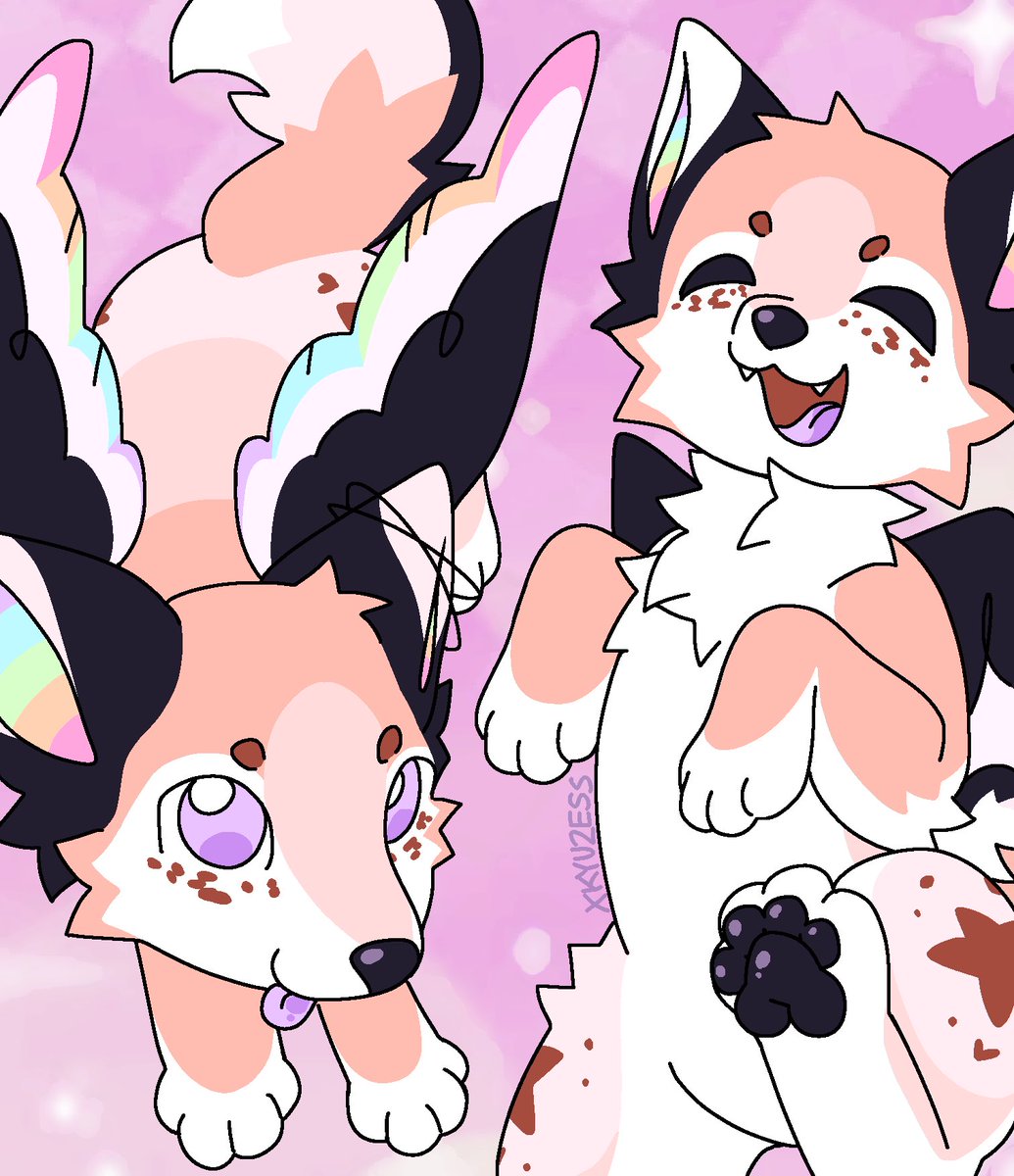 KYU 🦭🫟 tweet media