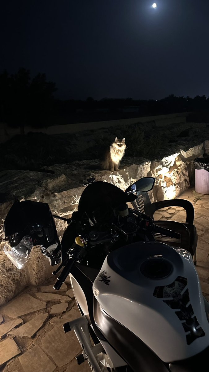 Abdulmohsen tweet media