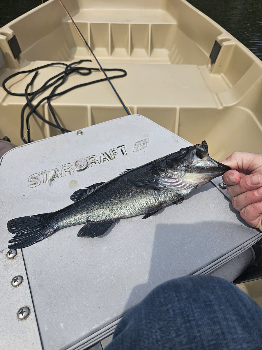 KRobertsCo tweet media