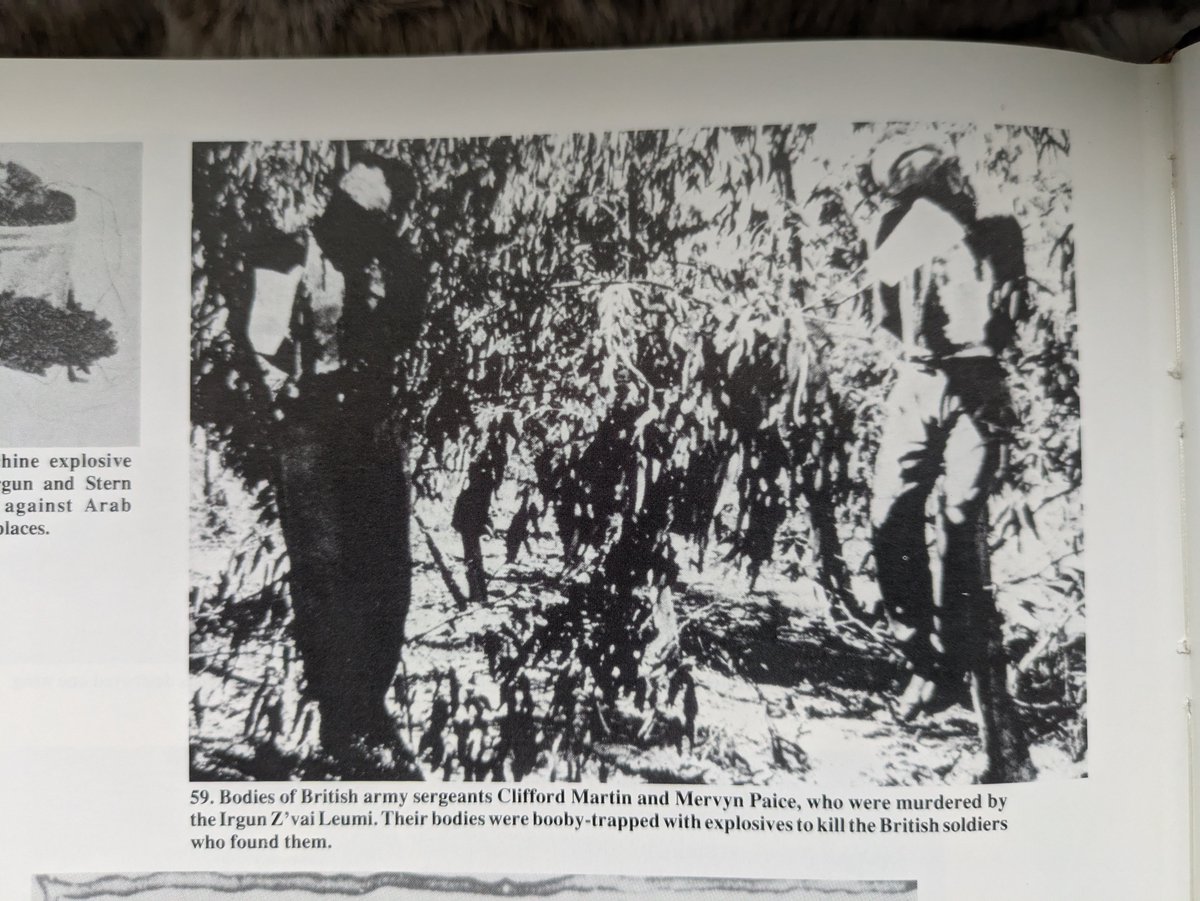 ProfTreadHead tweet media