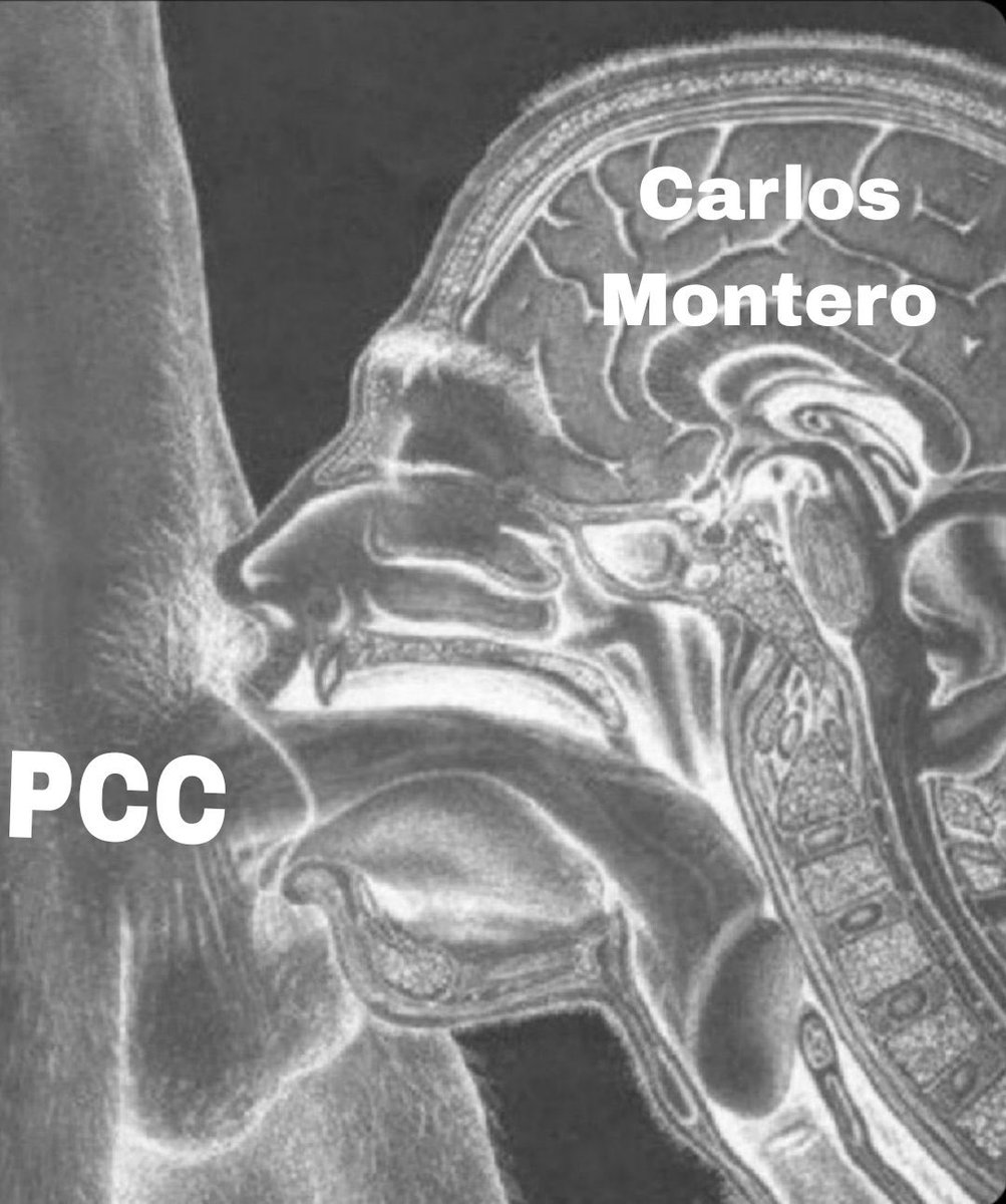 AlexisArzo53152's tweet photo. @CMonteroOficial Compra papel higiénico marisco triste tienes comas anales con María Corina Machado 🇻🇪 https://t.co/6SwMNzDXpe