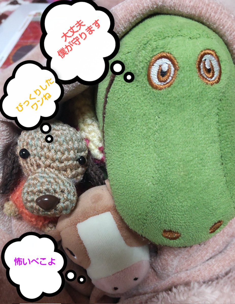 🍊ぷぷ（主）＆🌈支ぶちょー🐶の部屋 tweet media