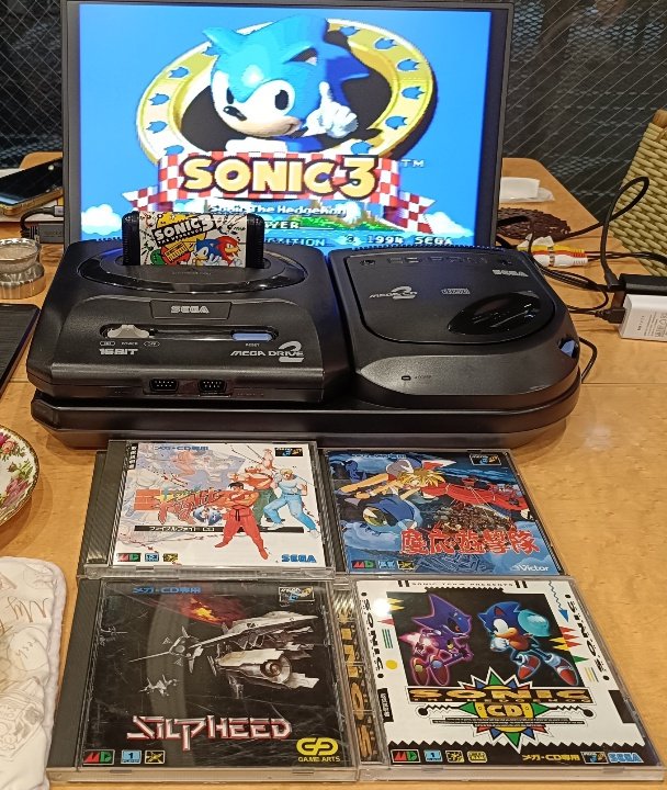 田川まゆみ tweet media