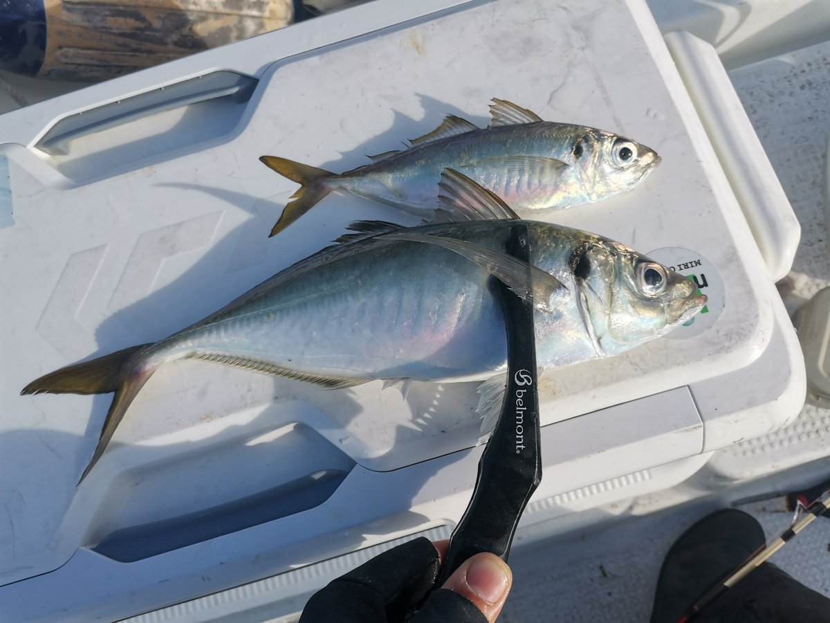 つだ_21style tweet media