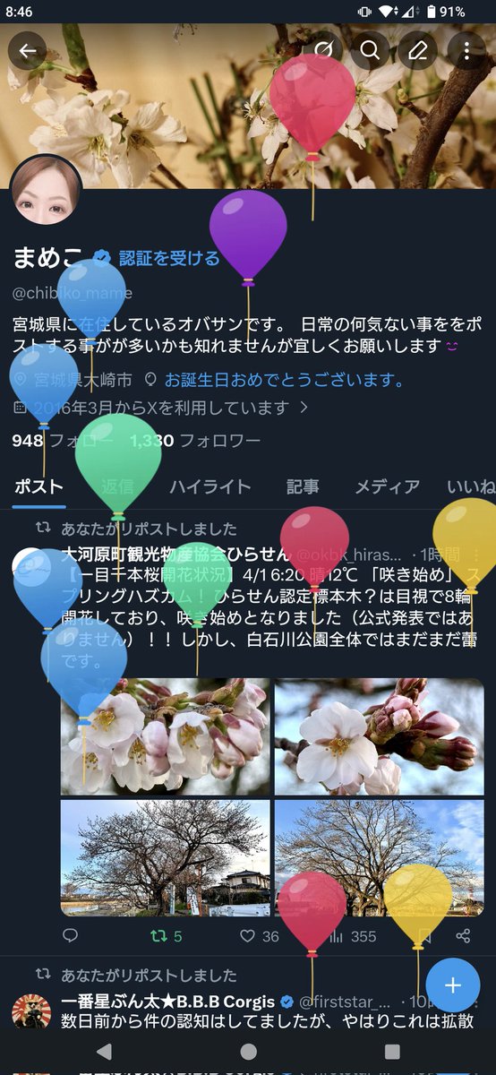 まめこ tweet media