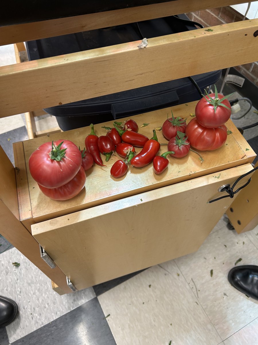 Philip Weiss tweet media