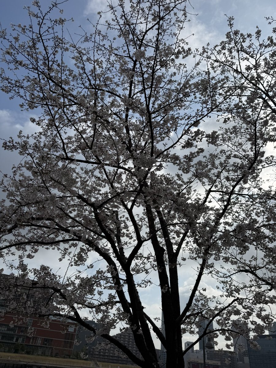 西村正英｜脚本家・（マンガ）シナリオライター tweet media