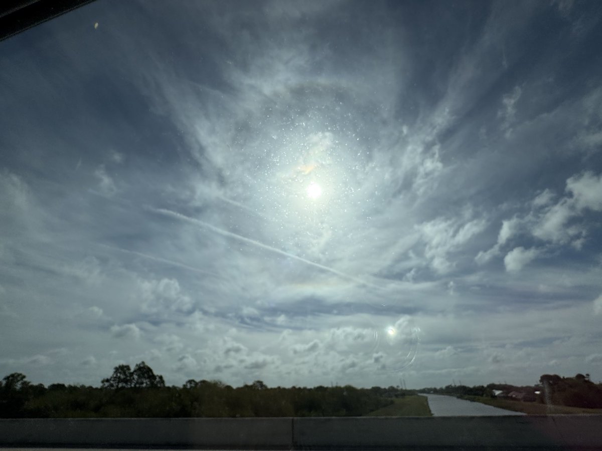 Sue Pear tweet media