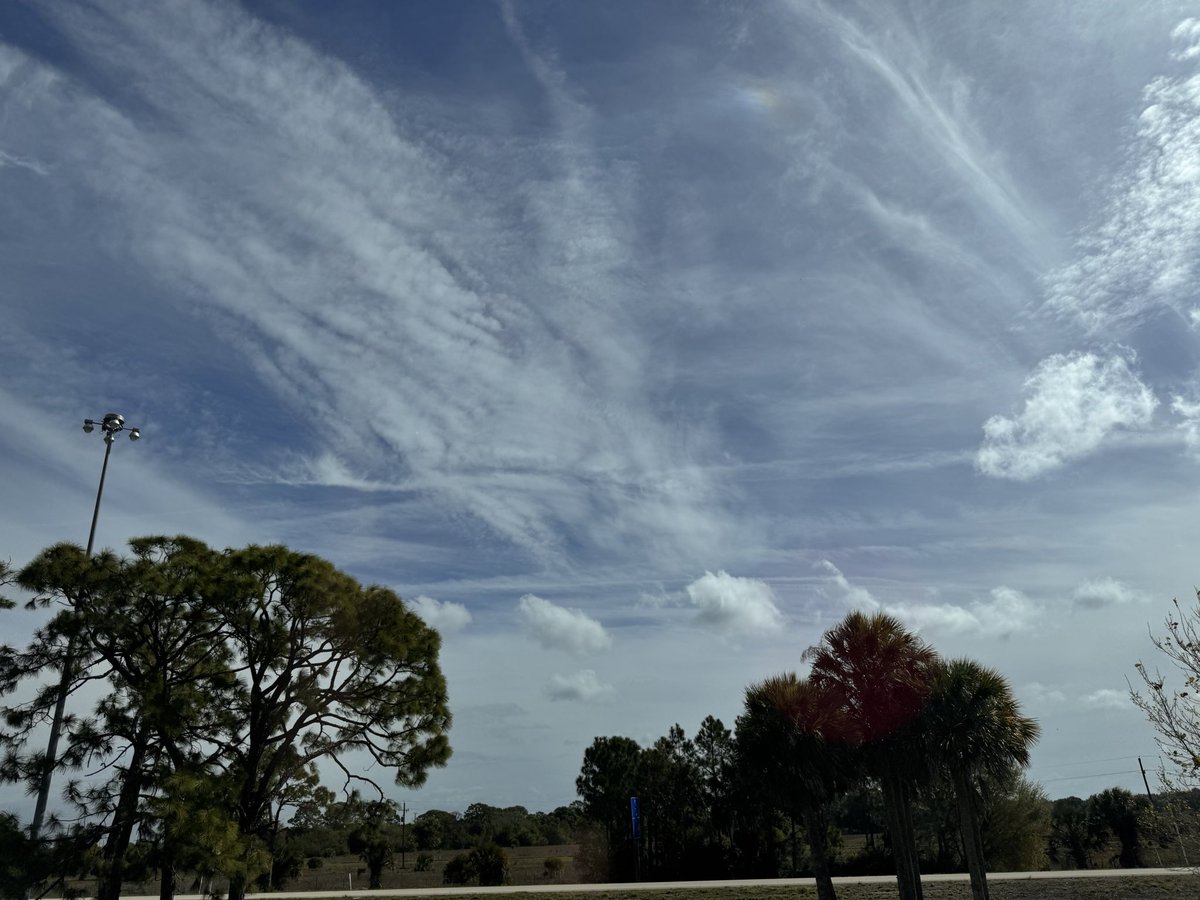 Sue Pear tweet media