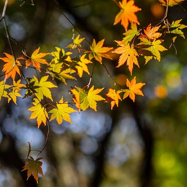 Timothy Irwin tweet media