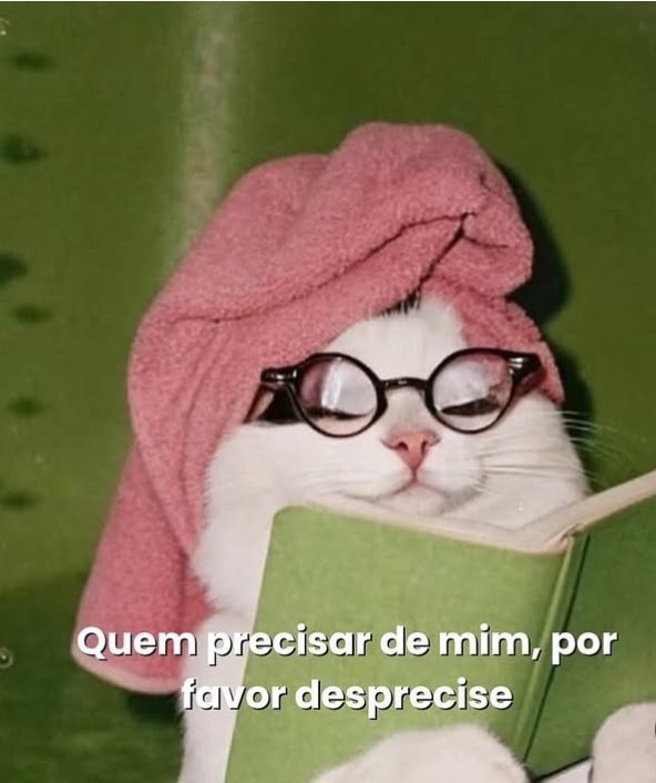 desabafos tweet media