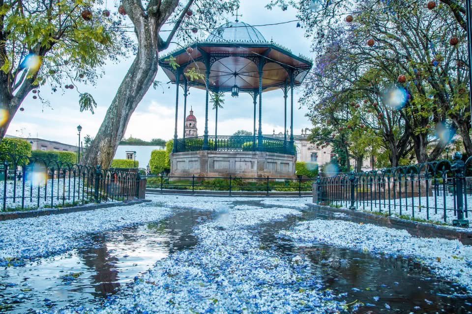 Diego Donaldo CHávez tweet media