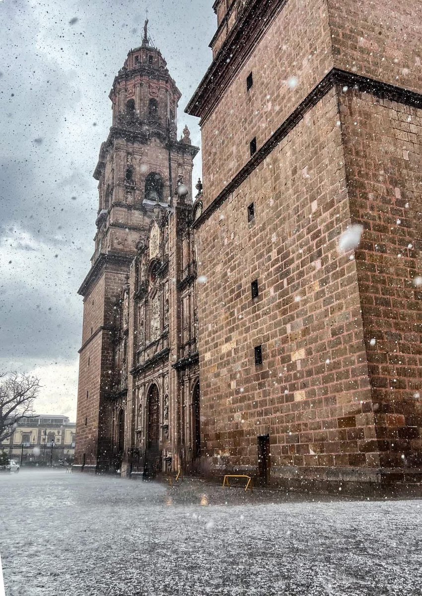 Diego Donaldo CHávez tweet media