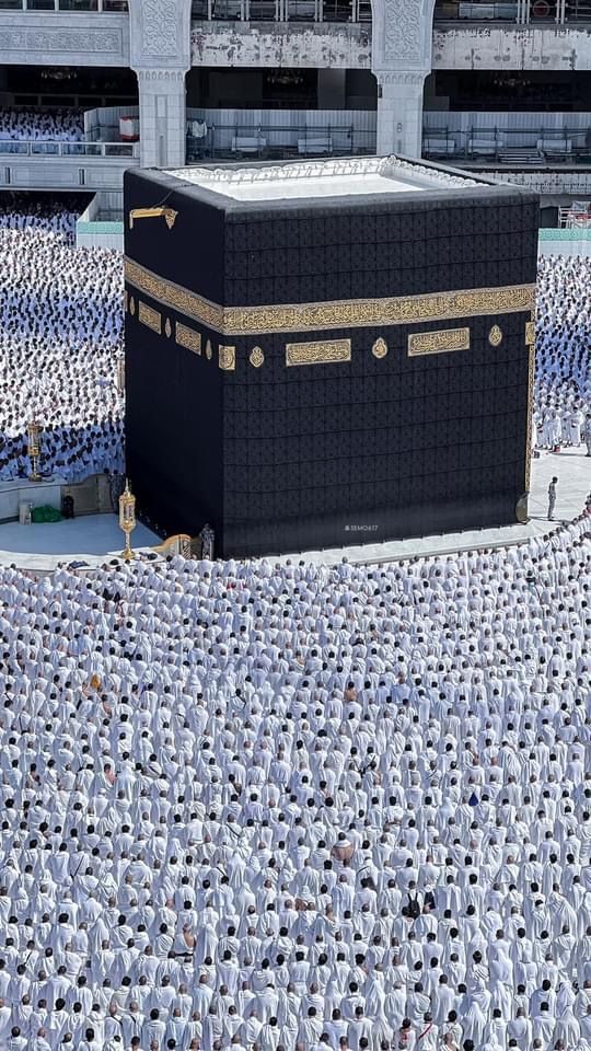 ﷽
السلام عليكم ورحمة الله وبركاته
#خاتم_النبیین_محمدﷺ
⁧#درود_وسلام⁩
یا رب العالمین ہمیں اپنےحکموں اور پیارے آقاﷺ️کی نیک،پاکیزہ طریقوں کے مطابق زندگی گزارنے والا بنا دیں ہماری زندگی ایمان پر ثابت قدم اور ایمان پر ہی اس زندگی کا خاتمہ فرمانا آمین 

GOOD MORNING X FAMILY