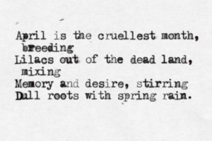 Masshole Mafia tweet media