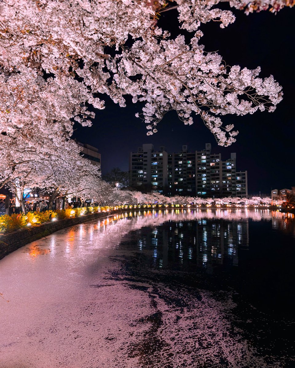 hello dongwon tweet media